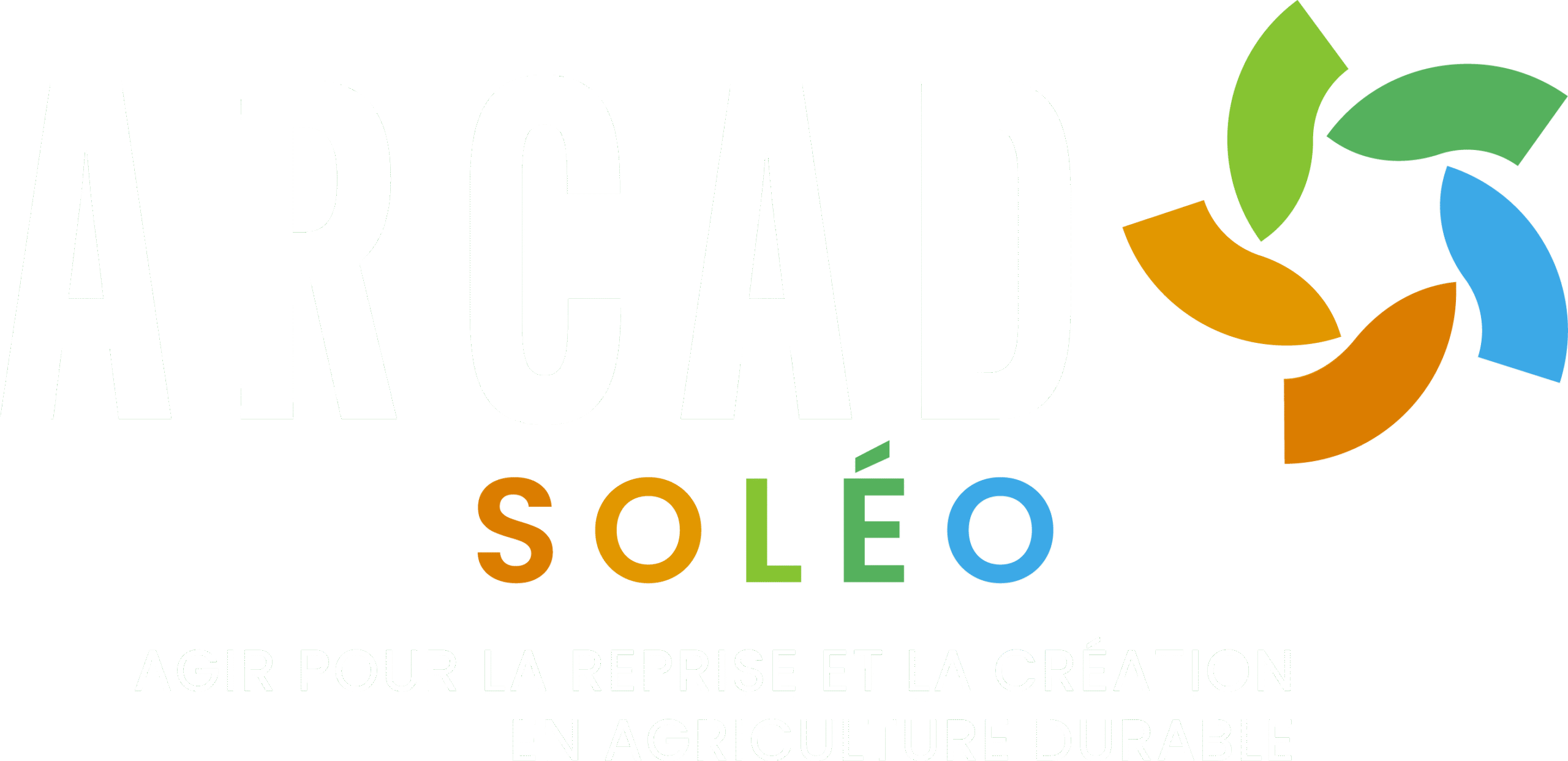 logo ARCAD soleo surfond scaled