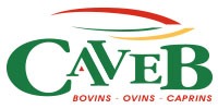 caveb